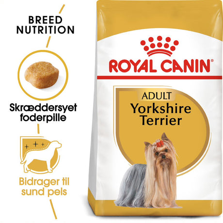 Adult Yorkshire Terrier 7,5 kg
