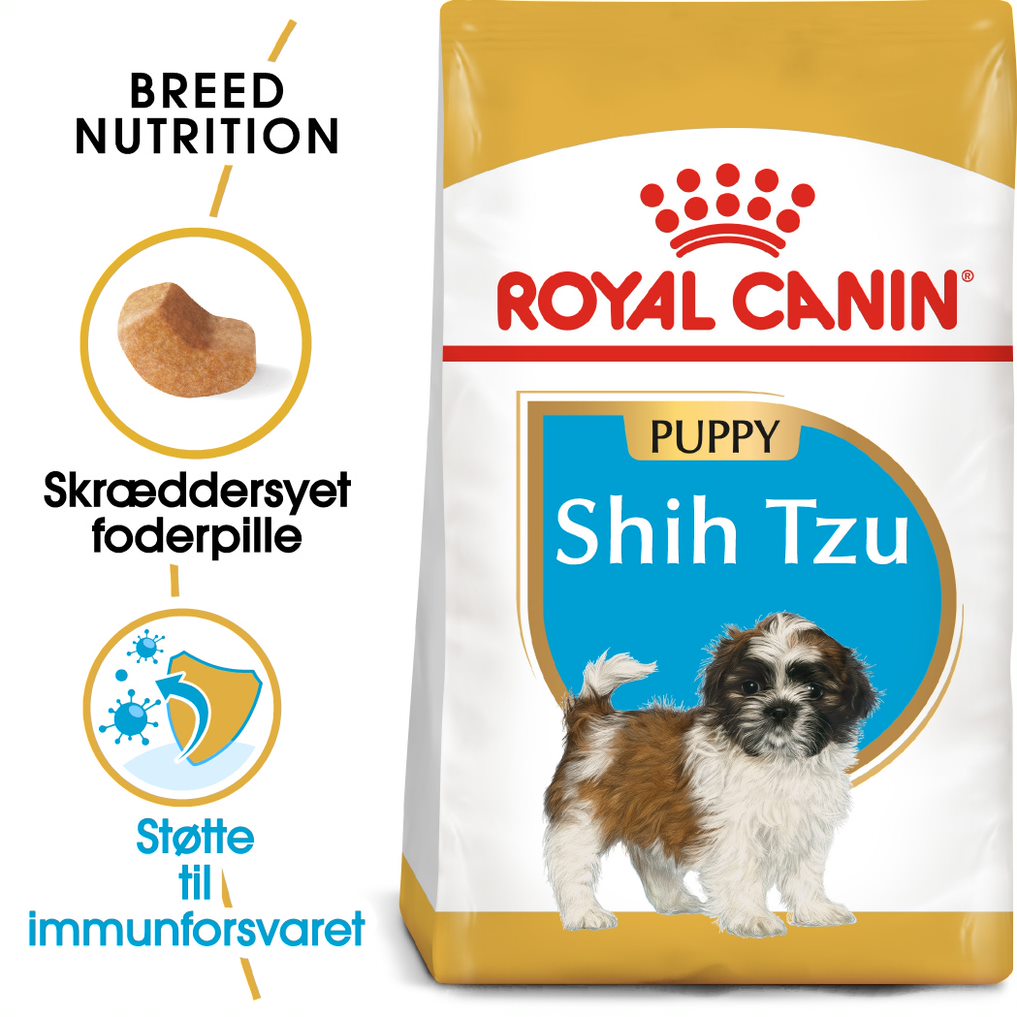 Puppy Shih Tzu 1,5 kg