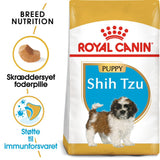 Puppy Shih Tzu 1,5 kg