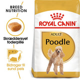 Adult Puddel