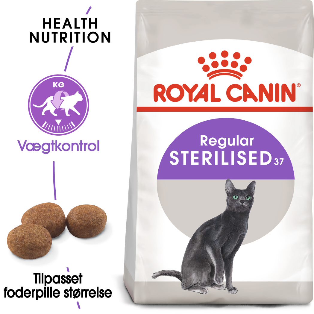 Adult Sterilised 37