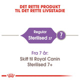 Adult Sterilised 37