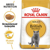 Adult > 12 British shorthair 400 g