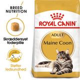 Adult Maine Coon