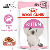 Kitten Gravy, menuboks pouch Instinctive 12x85 g