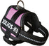 Julius K9 Power-Sele baby 1/XS pink