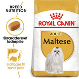 Adult Malteser 1,5 kg
