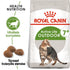 Mature 7+ Outdoor4 kg - Maxi Zoo Danmark