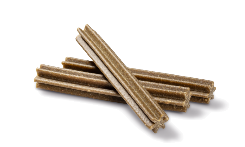 Dental Care Sticks Medium mint 28 stk