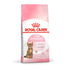 Kitten Sterilised - Maxi Zoo Danmark