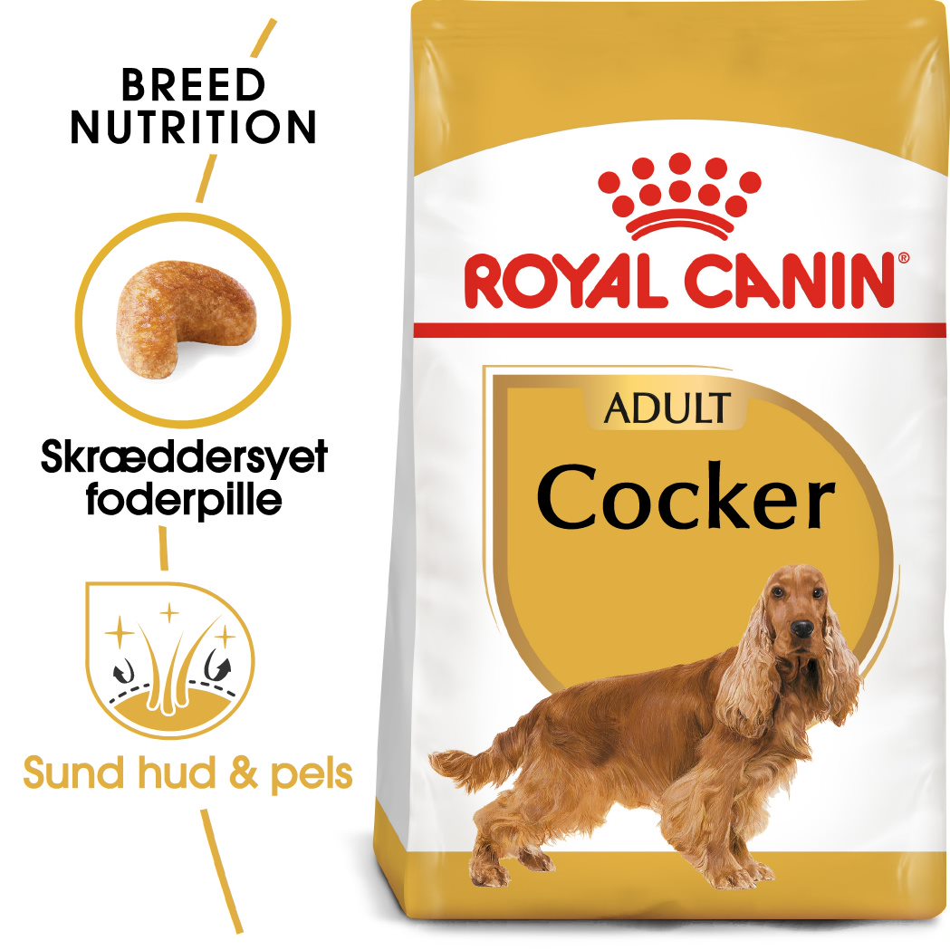 Adult Cocker Spaniel 12 kg