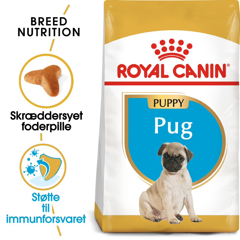 Junior Mops 1,5 kg