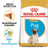 Junior Mops 1,5 kg