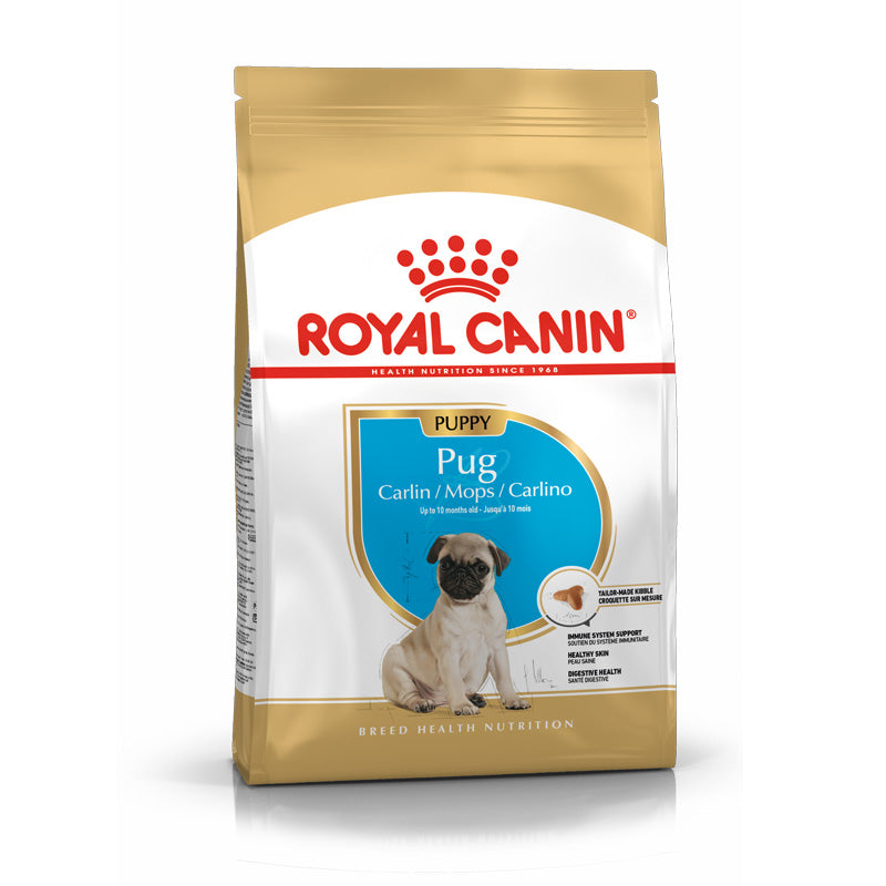 Junior Mops 1,5 kg