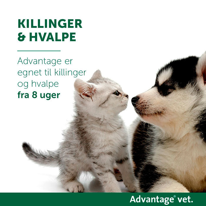 Loppemiddel 4 x 0,4 ml under 4 kg kat