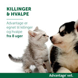 Loppemiddel 4 x 0,4 ml under 4 kg kat