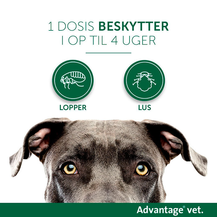 Loppemiddel 25-40 kg 4x4,00 ml  hund