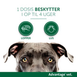 Loppemiddel 25-40 kg 4x4,00 ml  hund