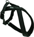 Nylonsele X Classic Sort - Maxi Zoo Danmark
