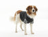 Body Suit EasyGO XXS 32 cm sort/grå - Maxi Zoo Danmark