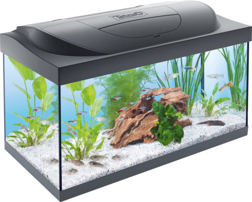 Starter Line Tank LED sort 54 l
