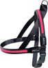 LED sele S 2,5 x 50-65 cm pink
