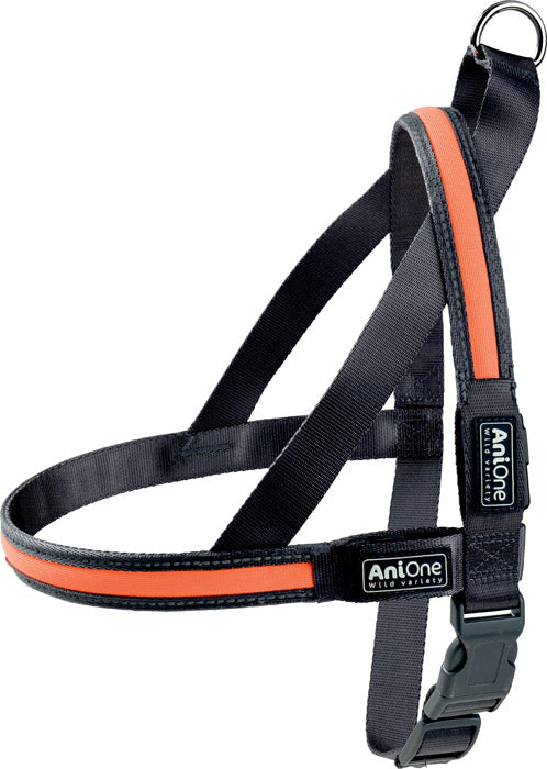 LED sele S 2,5 x 50-65 cm orange
