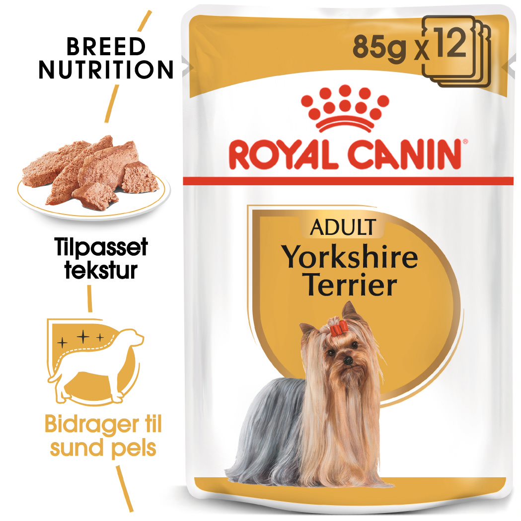 Adult, menuboks pouchYorkshire Terrier 12x85 g