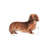 Adult, menuboks pouchGravhund 12x85 g