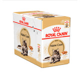 Adult Paté, menuboks pouch Maine Coon 12x85 g