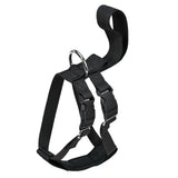 Sikkerhedssele Griff XS 17-27x27-40 cm sort
