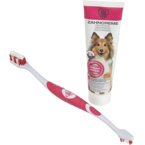 Tandplejesæt tandbørste & -pasta 100 ml