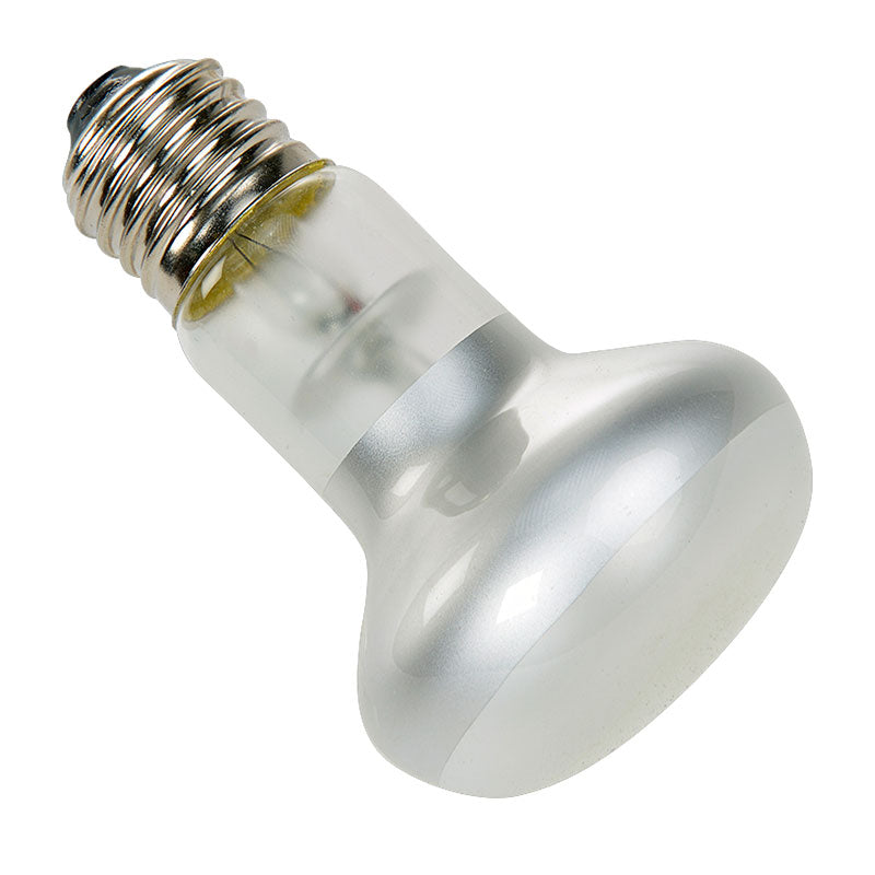 Spotlampe 50 w - Maxi Zoo Danmark