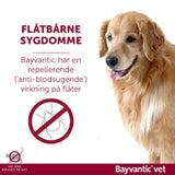 Flåt- og loppemiddel 40-60 kg 4x6,0 ml hund