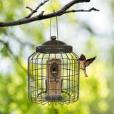 Foderautomattil små fugle 31x24x24 cm