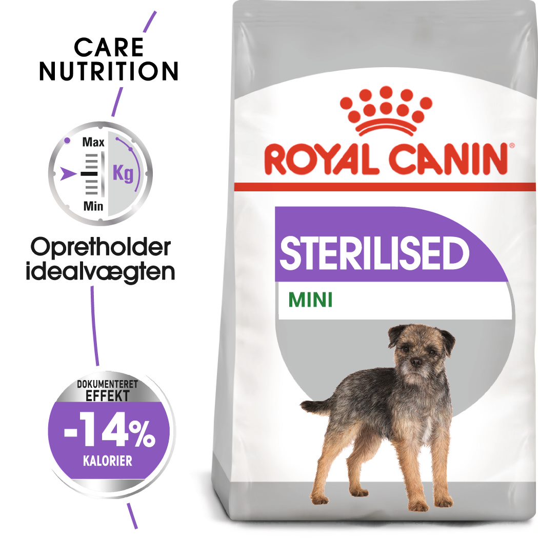 Adult Sterilised Mini