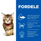 Kitten kylling 1,5 kg