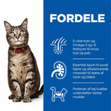 Adultlam og ris 10 kg