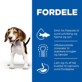 Puppy Medium lam og ris 14 kg