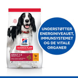 Adult Medium kylling 14 kg