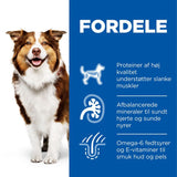 Mature Mediumkylling 2,5 kg