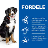 Adult Large Breed lam og ris 14 kg