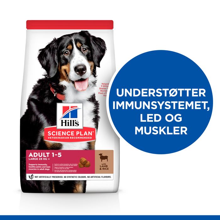 Adult Large Breed lam og ris 14 kg