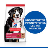 Adult Large Breed lam og ris 14 kg
