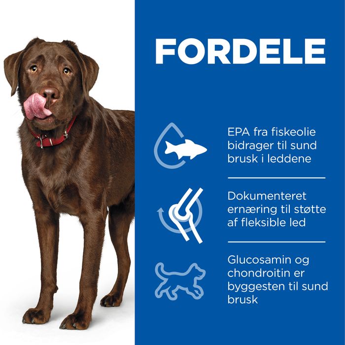 Adult Healthy Mobility Large Breed 14 kg