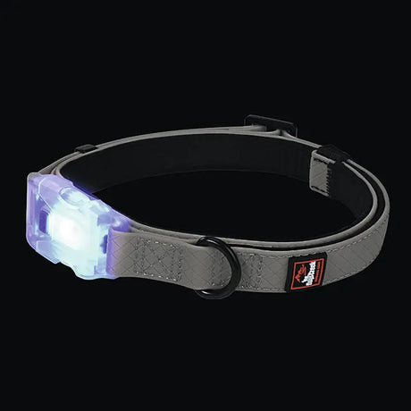 USB lyshalsbånd Polar Light L ca 300 m synlighed grå - Maxi Zoo Danmark
