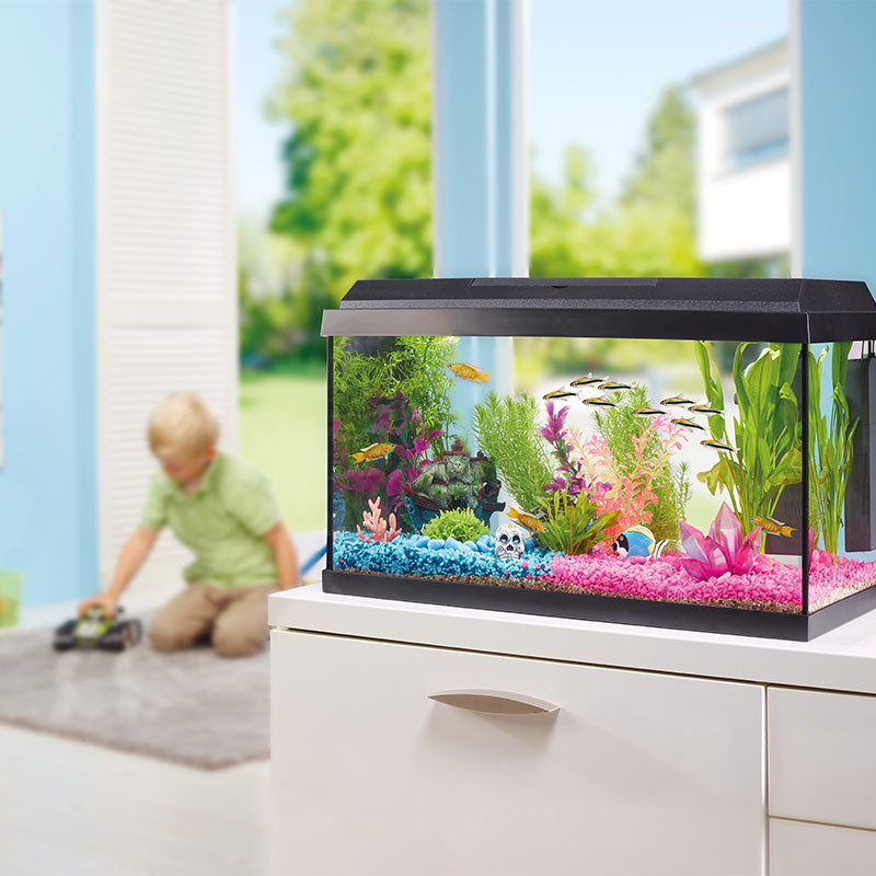 Akvarie Kids Startersæt57 liter