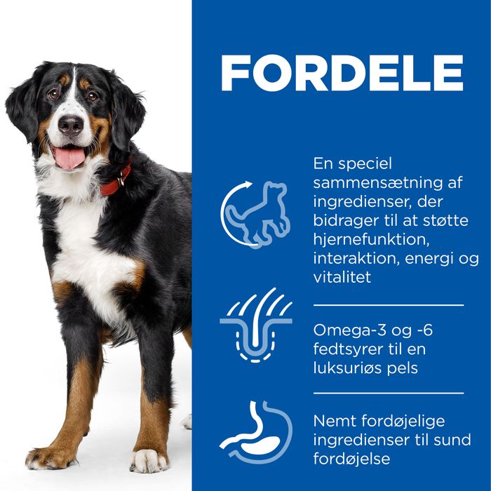 SP Canine Senior Vitality Large kylling  14 kg