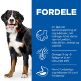 SP Canine Senior Vitality Large kylling  14 kg