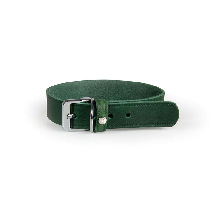 Læder halsbånd Weinheim 22-29 cm grøn bred